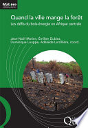 Quand la ville mange la forêt : les défis du bois-énergie en Afrique centrale