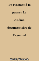 De l'instant à la pause : Le cinéma documentaire de Raymond Depardon