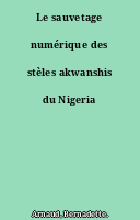 Le sauvetage numérique des stèles akwanshis du Nigeria
