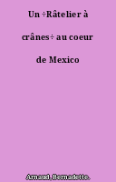 Un ÷Râtelier à crânes÷ au coeur de Mexico