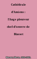 Cathédrale d'Amiens : l'Ange pleureur chef-d'oeuvre de Blasset