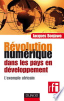 Révolution numérique dans les pays en développement : l'exemple africain