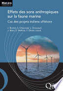 Effets des sons anthropiques sur la faune marine : cas des projets éoliens offshore