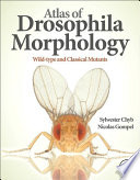 Atlas of Drosophila morphology : wild-type and classical mutants