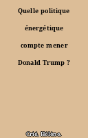 Quelle politique énergétique compte mener Donald Trump ?