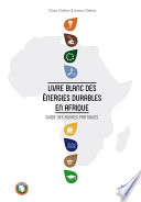 Livre blanc des énergies durables en Afrique : guide des bonnes pratiques