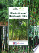 Illustrations of bamboos in China