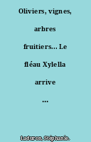 Oliviers, vignes, arbres fruitiers... Le fléau Xylella arrive en France
