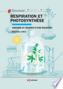 Respiration et photosynthèse : histoire et secrets d'une équation