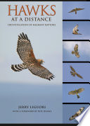 Hawks at a distance : identification of migrant raptors