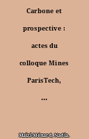 Carbone et prospective : actes du colloque Mines ParisTech, Sophia Antipolis, 16 décembre 2008