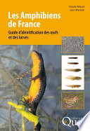 ˜Les œamphibiens de France : guide d'identification des oeufs et des larves