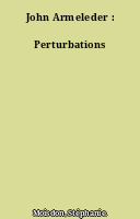 John Armeleder : Perturbations