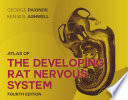 Atlas of the developing rat nervous system
