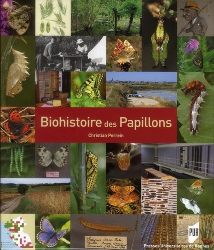 Biohistoire des papillons : diversité et conservation des lépidoptères rhopalocères en Loire-Atlantique et en Vendée