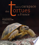 Dans la carapace des tortues de France