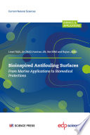 Bioinspired Antifouling Surfaces : From Marine Applications to Biomedical Protections