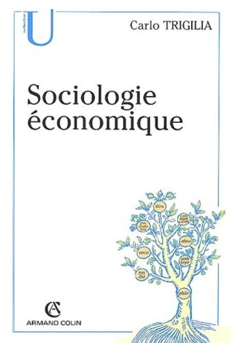 Sociologie économique : état, marché et société dans le capitalisme moderne